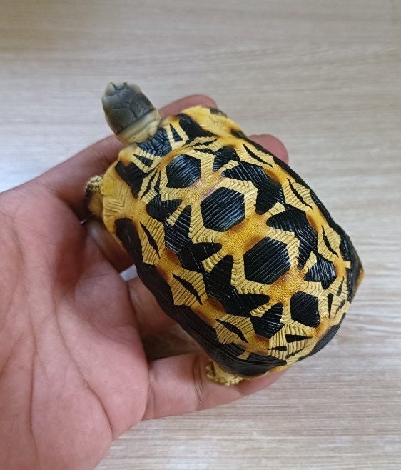 1:1 Life Size Spider Tortoise turtle Replica Model Figurine Figure COLOR B