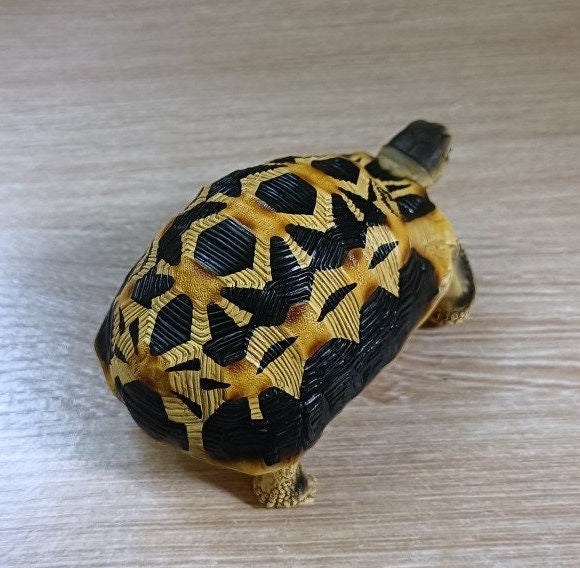 1:1 Life Size Spider Tortoise turtle Replica Model Figurine Figure COLOR B