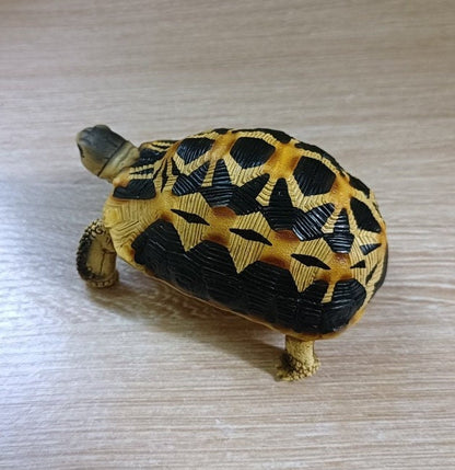 1:1 Life Size Spider Tortoise turtle Replica Model Figurine Figure COLOR B