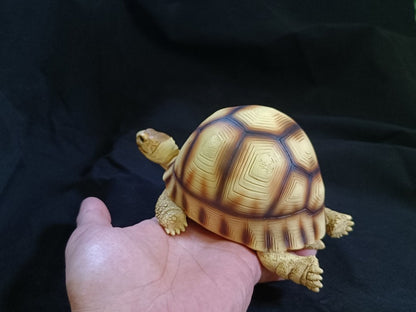 Angonoka Tortoise Lying Resin Replica Model Figurine 15.5cm