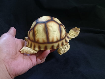 Angonoka Tortoise Lying Resin Replica Model Figurine 15.5cm