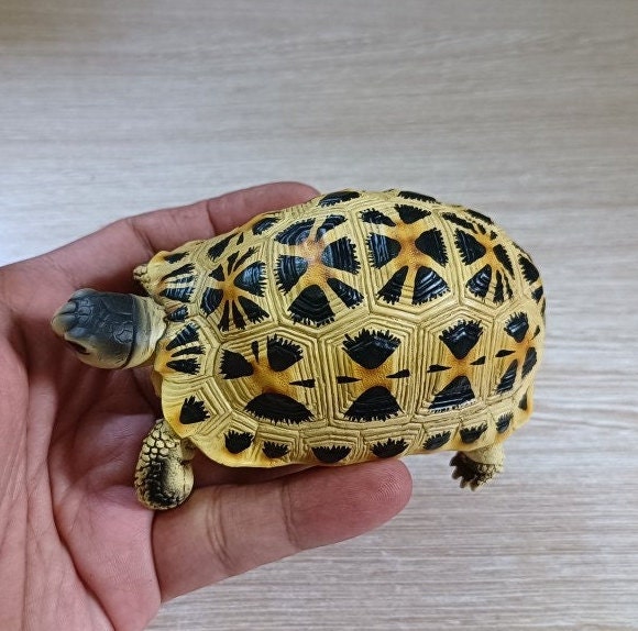 1:1 Life Size Spider Tortoise turtle Replica Figurine Figure Model Color A