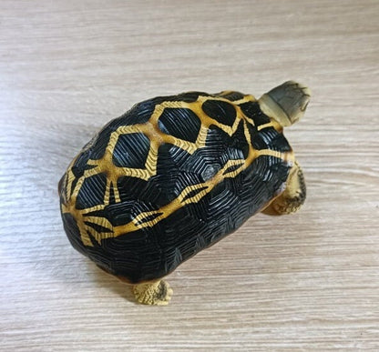 1:1 Life Size Spider Tortoise turtle Replica Figurine Figure Model Dark Color