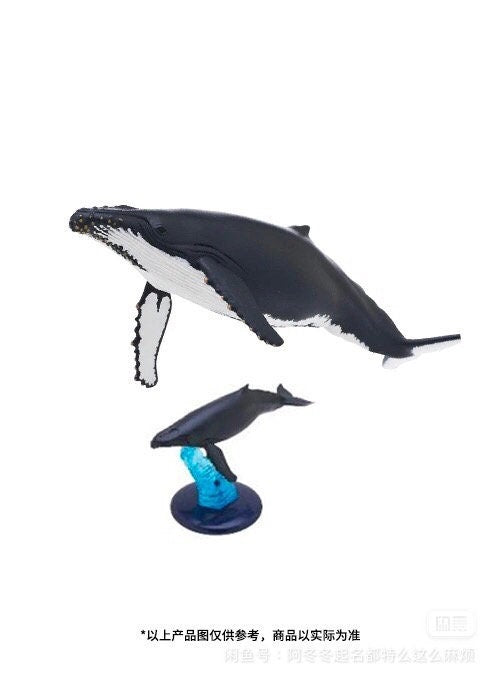 Japan Humpback Whale PVC mini capsule figure model figurine