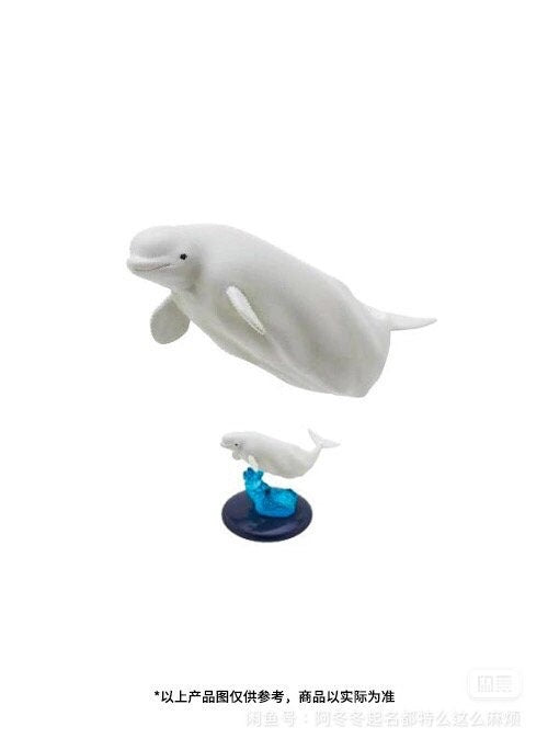 Japan Beluga Whale PVC mini capsule figure model figurine