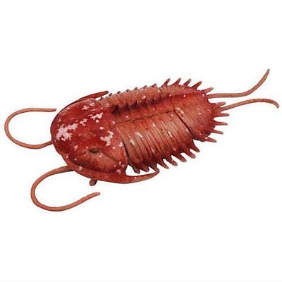 Trilobite prehistoric fish dinosaur animal PVC Action Figure Model with Joints