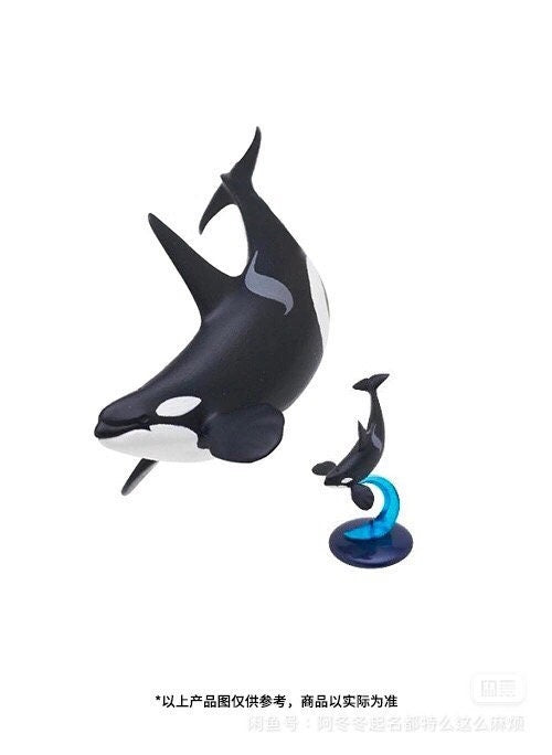 Japan Killer Whale Orca PVC mini capsule figure model figurine