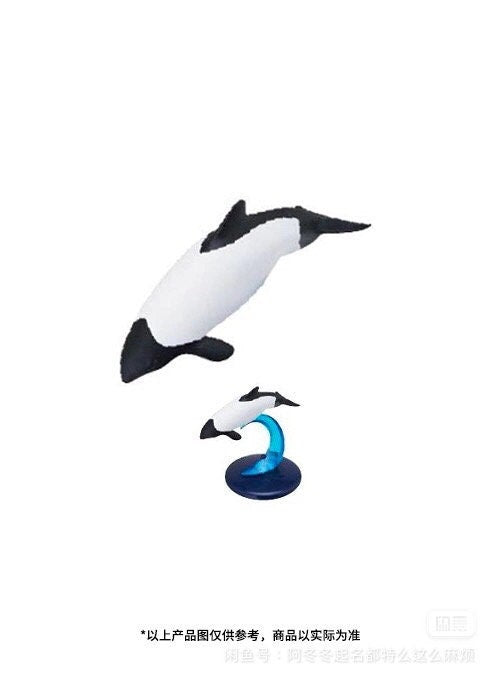 Japan Commerson's dolphin Whale PVC mini capsule figure model figurine