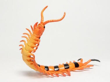 Indian tiger centipede insect PVC mini figure model figurine