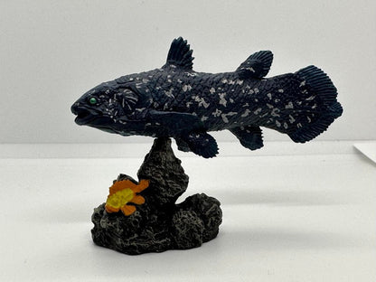 Japan Coelacanth fish animal PVC Figure Model Figurine