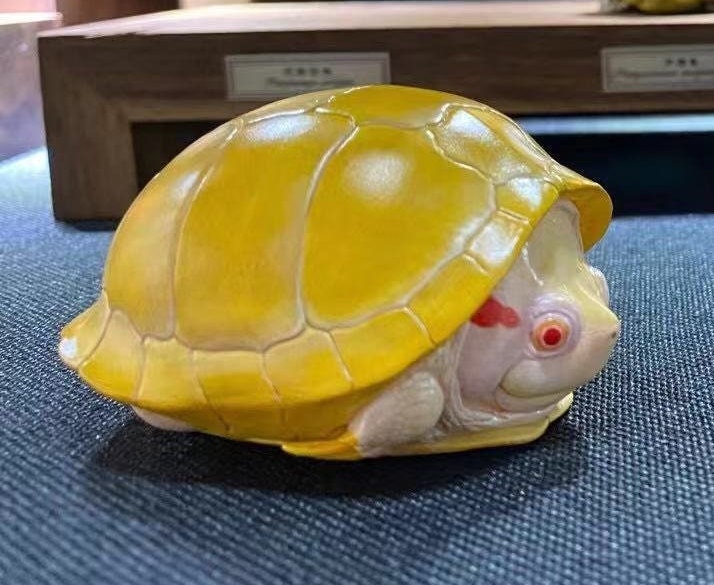 Albino Red Eared Slider Turtle Super Q Resin Model Figure Figurine (Exclusive item)