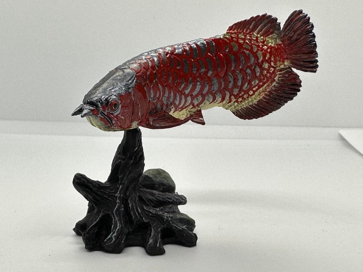 Japan Red Asian Arowana fish animal PVC Figure Model Figurine