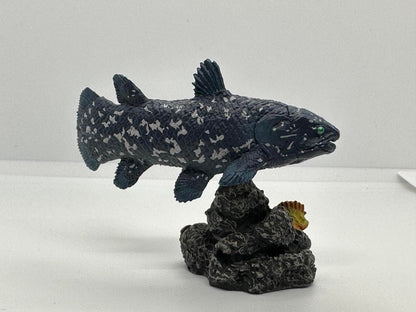 Japan Coelacanth fish animal PVC Figure Model Figurine