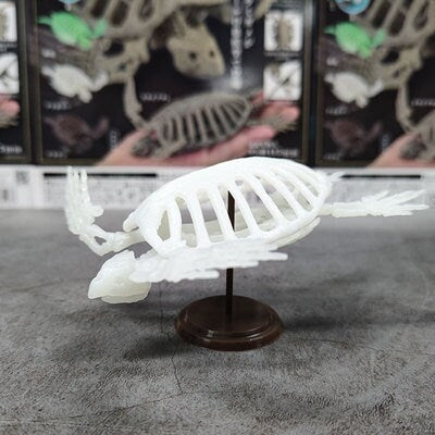 Archelon prehistoric Sea Turtle Skeleton Fossil PVC figurine figure model (luminous color)