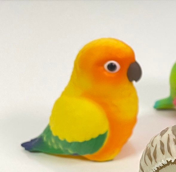 Japan sun parakeet parrot Bird PVC hollowed figure model toy