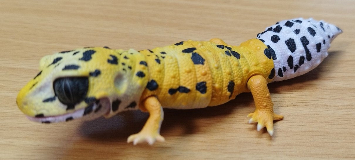 Japan Q Leopard gecko lizard PVC Action Figure model with joints (10cm) A