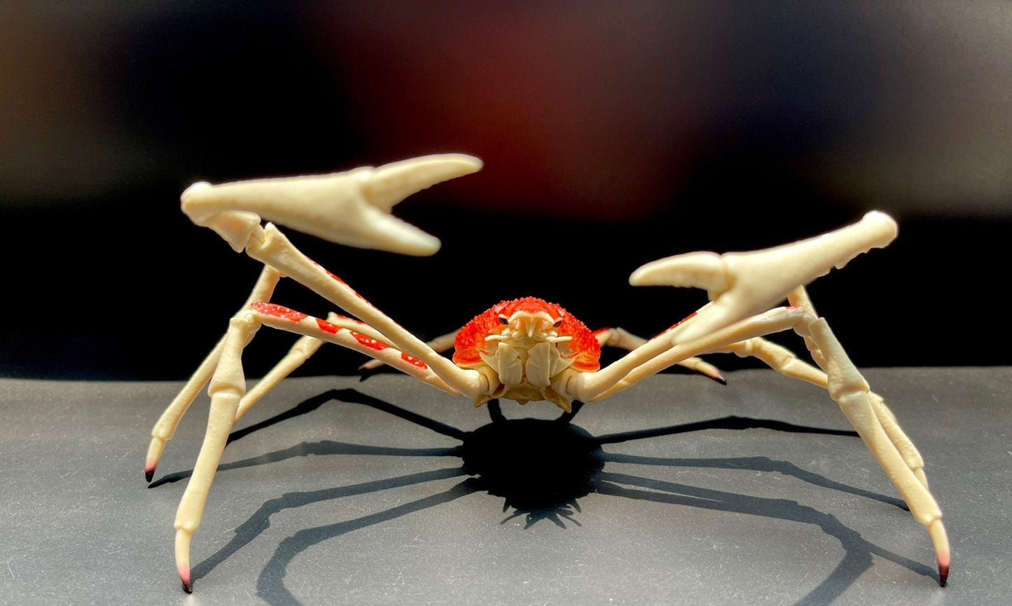 Japanese spider crab PVC Action Figure model with joints