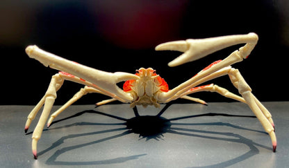 Japanese spider crab PVC Action Figure model with joints