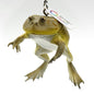 Budgett's Frog Toad PVC Figure Model Figurine Keychain