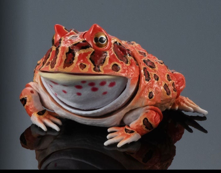 Argentine horned frog (Red) PVC figurine Figure model with joints