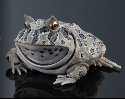 Argentine horned frog (Grey) PVC figurine Figure model with joints