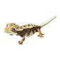 Japan Q Crested gecko lizard PVC Action Figure model with joints (10cm) D