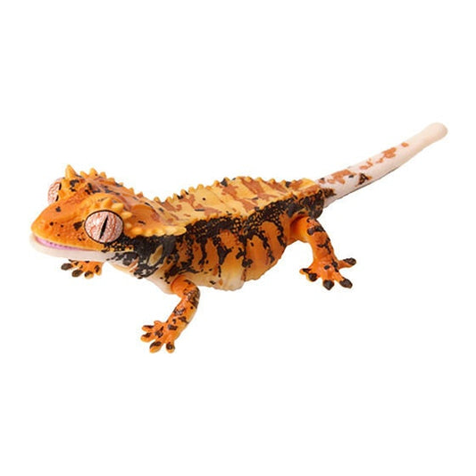 Japan Q Crested gecko lizard PVC Action Figure model with joints (10cm) Secret Item