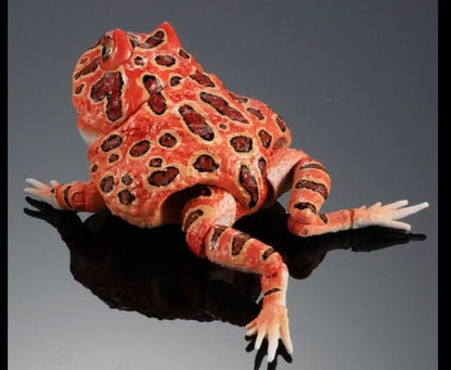 Argentine horned frog (Red) PVC figurine Figure model with joints