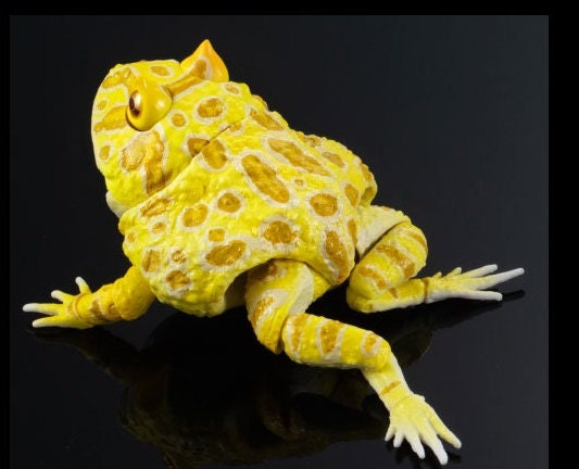 Argentine horned frog (Yellow) PVC figurine Figure model with joints