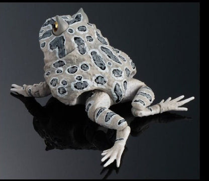 Argentine horned frog (Grey) PVC figurine Figure model with joints