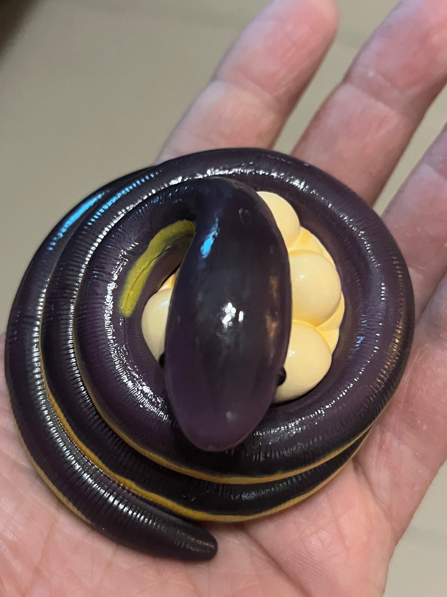 Koh Tao Island caecilian Super Q PVC Model Figure Figurine