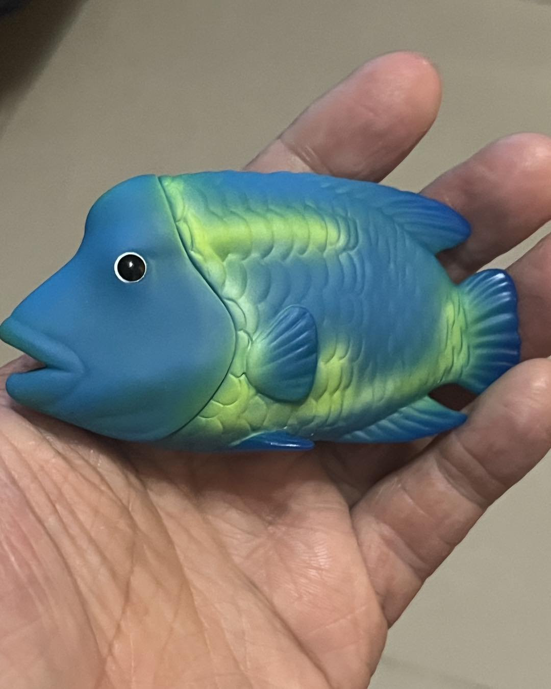 Japan Humphead wrasse fish PVC hollowed figure model toy