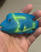 Japan Humphead wrasse fish PVC hollowed figure model toy