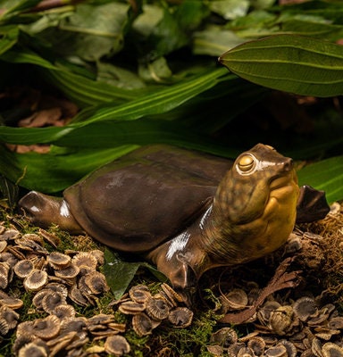 Yangtze giant softshell turtle Super Q PVC Model Figure Figurine