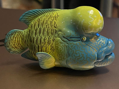 Super Q Humphead wrasse fish PVC figure figurine model