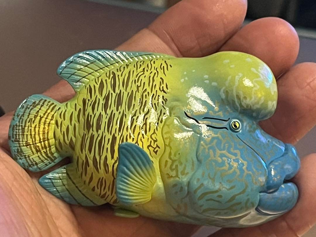 Super Q Humphead wrasse fish PVC figure figurine model