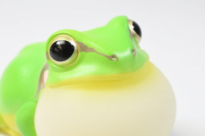 Japan Green Tree Frog PVC hollowed figure model toy