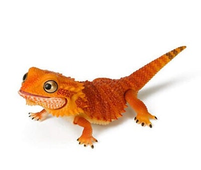 Japan Q Red Bearded Dragon lizard PVC Action Figure model with joints (10cm) A