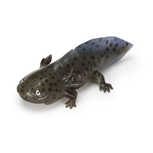 Japan Q Axolotl Salamander PVC Action Figure model with joints (10cm) B