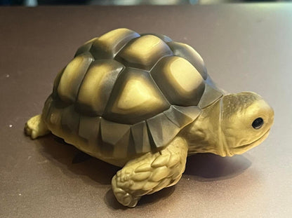 Japan Geochelone sulcata Tortoise PVC hollowed figure model toy