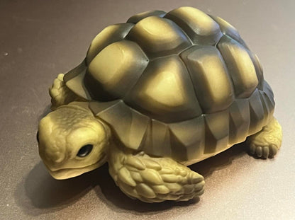 Japan Geochelone sulcata Tortoise PVC hollowed figure model toy