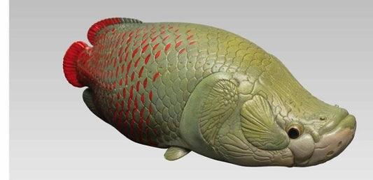 Super Q Pirarucu Arapaima fish Resin figurine figure model