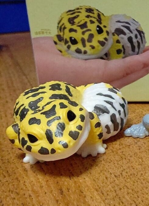 Japan Leopard Gecko Lizard PVC hollowed figure model toy