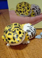 Japan Leopard Gecko Lizard PVC hollowed figure model toy