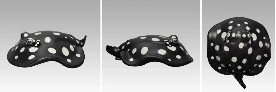 Super Q Xingu river ray polka dot freshwater stingray fish Resin figurine figure model