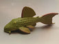 L24 Red Fin Cactus Pleco Fish PVC mini figurine Figure Model