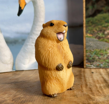 Japan Marmot animal PVC hollowed figure model toy