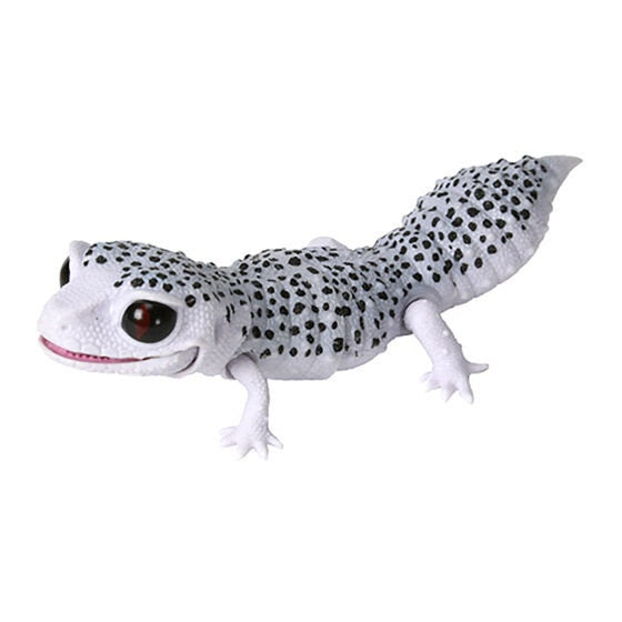 Japan Q Leopard gecko lizard PVC Action Figure model with joints (10cm) A2