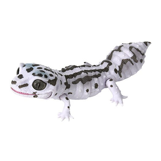 Japan Q Leopard gecko lizard PVC Action Figure model with joints (10cm) A3