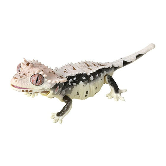 Japan Q Crested gecko lizard PVC Action Figure model with joints (10cm) B1